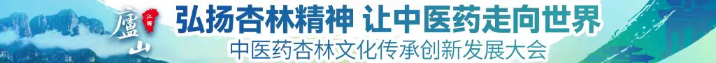 肏操入肏乱了母子中医药杏林文化传承创新发展大会